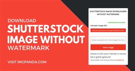 shutterstock images without watermark.